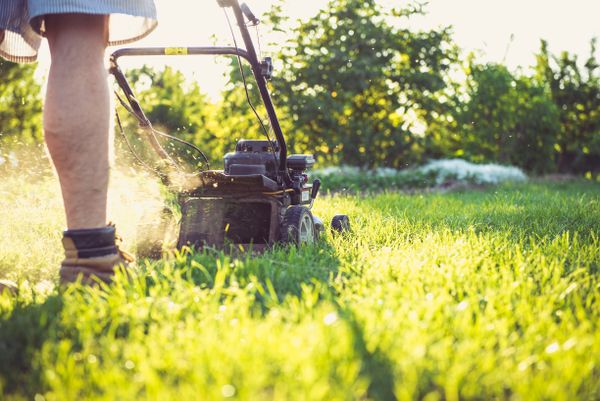 Lawn mower cutting green grass